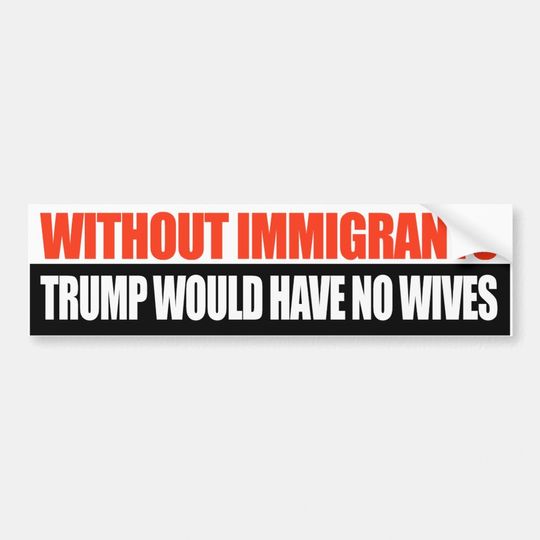 Discover Without Immigrants Trump would have no wives - Bumper Sticker