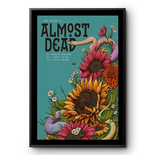Discover NEW Joe Russo's Almost Dead December 2025 Tour Poster