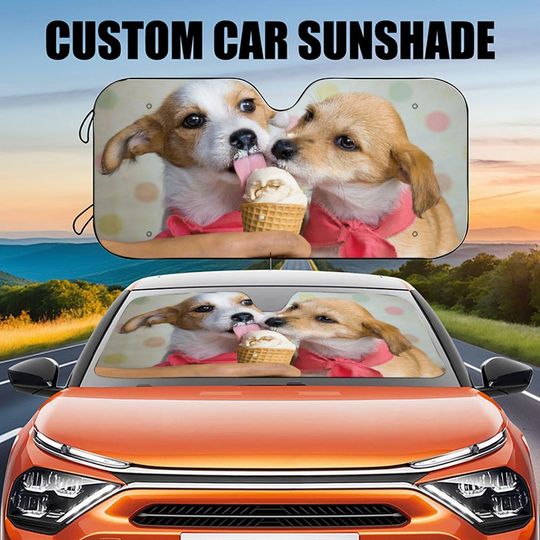 Discover Personalized Photo Auto Sun Shade