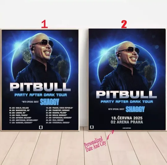 Discover Custom Pitbull's Party After Dark Tour 2025 Poster No Frame