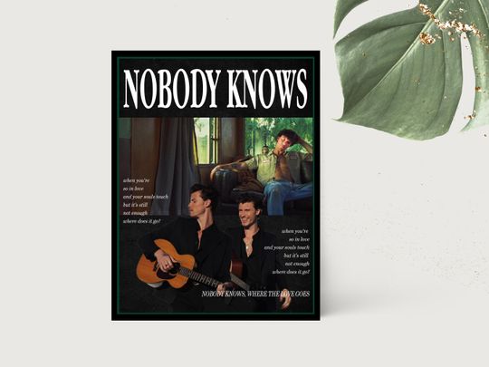 Discover Shawn Mendes Poster, Nobody Knows Poster, Shawn Poster, Music Poster