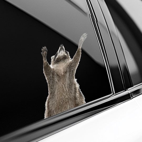 Discover Raccoon Lovers Peeker Sticker, Funny Raccoon Peeking Car RV Decals - Animal RV Decals