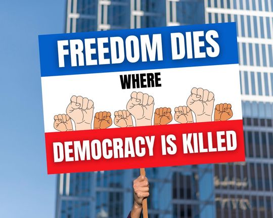 Discover Large PROTEST Sign Printable | Democracy Not Dictatorship