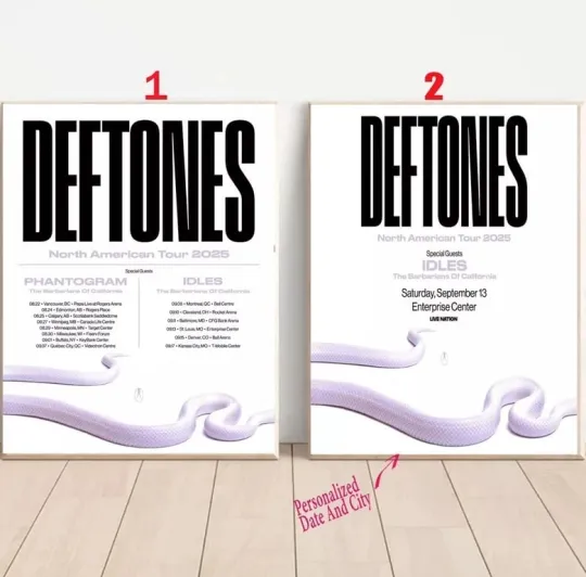 Discover Custom Deftone Presale North America Pt. 2 Tour 2025 Poster