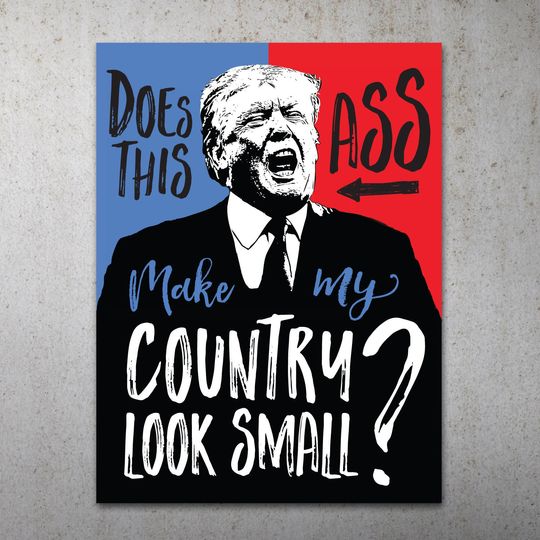 Discover This Ass Anti-Trump Protest sign Poster