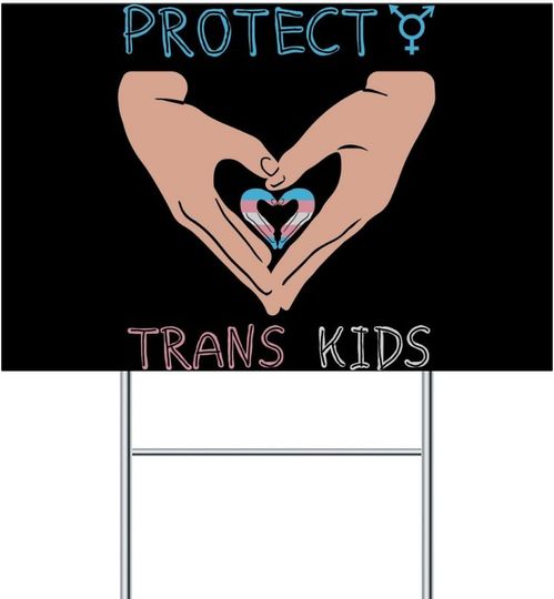 Discover Yard Sign - Protect Trans Kids Yard Signs