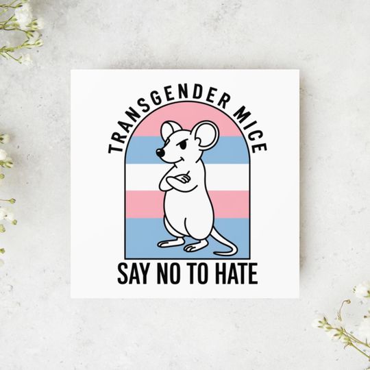 Discover Protect Trans People Sticker | LGBTQ+ Equality Decal for Kids | Trans Rights Support
