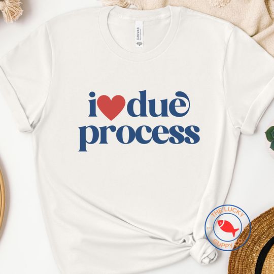 Discover I love due process unisex tshirt, pro immigration shirt, immigrants make america great, deport fascists shirt, immigration lawyer gift