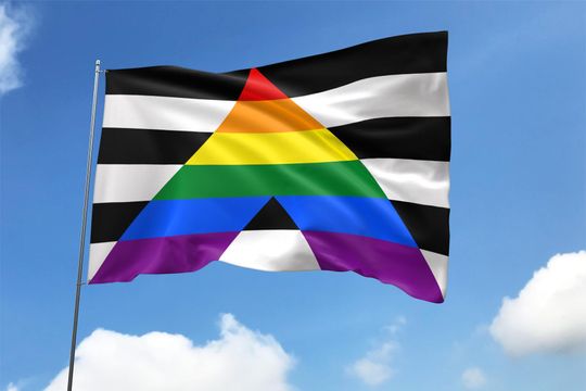 Discover Inclusive LGBTQIA+ Ally Pride House Flag