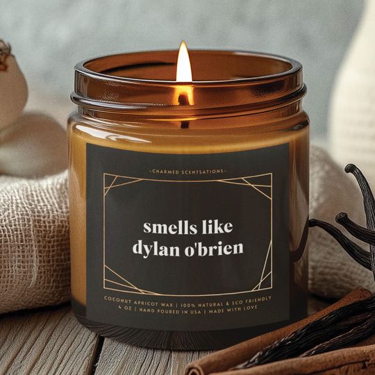 Discover Smells Like Dylan O'Brien Scented Candle, Home Decor