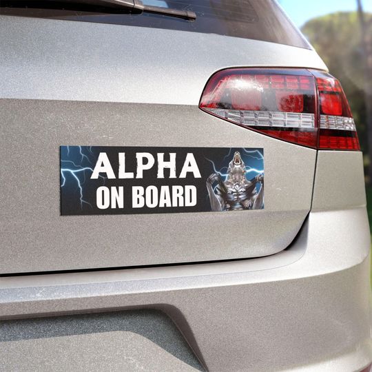 Discover Alpha on Board Funny Car Magnet