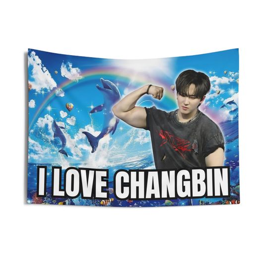 Discover Skz Changbin Dolphin Meme Concert Tapestry, Stray Kids Kpop Tapestry