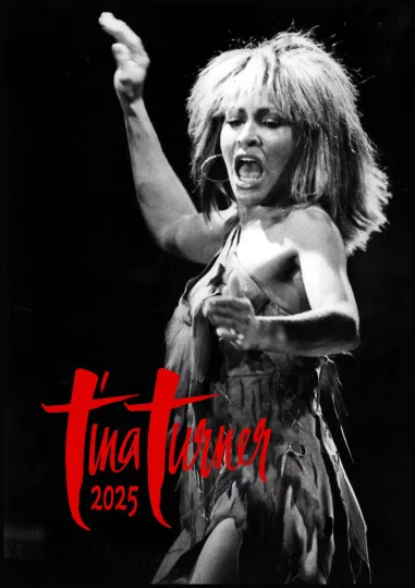 Discover TINA TURNER Vintage Magazine Cover Music Poster, Home Decor, Fan Gifts