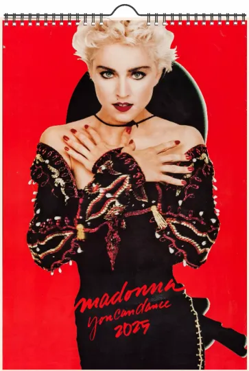 Discover 2025 MADONNA Vintage Music Vertical Wall Calendars
