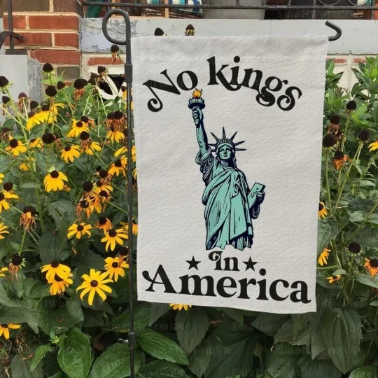 Discover No Kings In America Protest Save Democracy Flag, Anti Maga Anti Trump Flag