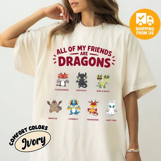 Discover Toothless Friend Shirt, How To Train Your Dragon Shirt, Hidden World Tee