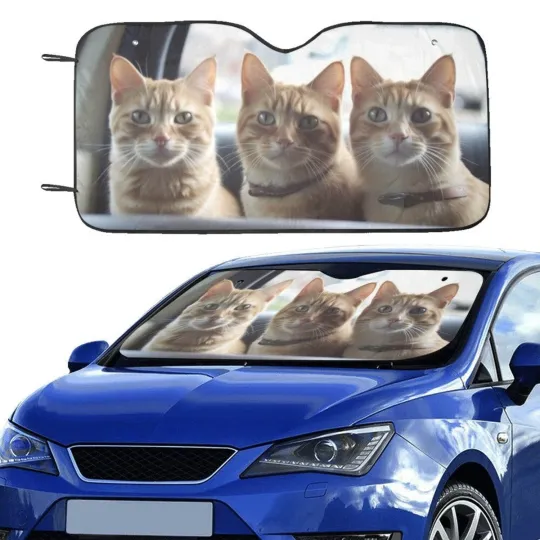 Discover Cats Sunshade, Funny Car Sunshade