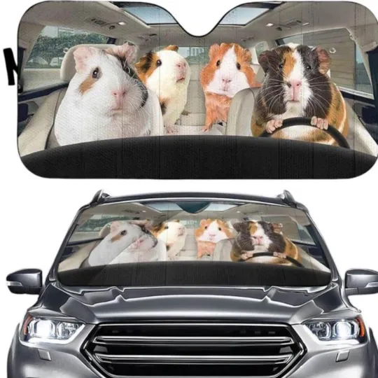 Discover Guinea Pig Car Sun Shade