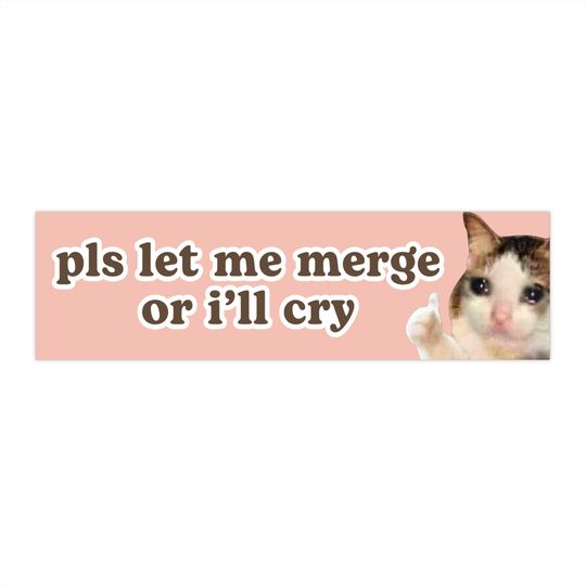 Discover please let me merge or i'll cry Car Magnets