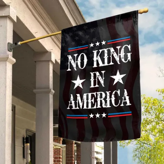 Discover Vintage No Kings In America Anti Trump Protect Democracy Resist Hate Flag