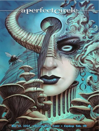Discover A Perfect Circle in Cuyahoga Falls, OH on May 25, 2025 Tour Poster, gift fans