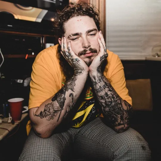 Discover Post Malone Poster, Wall Decor, Fan Gifts