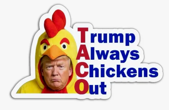 Discover TACO Trump Always Chickens Out Vinyl Sticker