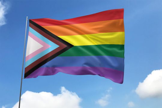 Discover LGBTQ+ Pride House Flag/Queer Gay Lesbian Trans Nonbinary Rainbow House Flag