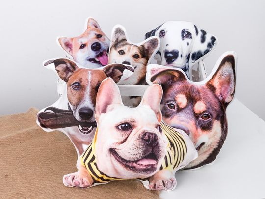 Discover Custom Pet Photo Pillow,Personalized Shaped Pillow,Pet Memorial Gift,,3D Photo Pillow,Pet Lover Gift,Home Decor,Pet Loss Gift