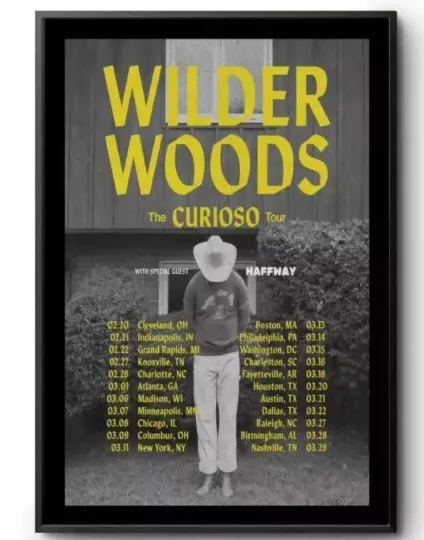 Discover Wilder Woods The Curioso Tour 2025 Poster