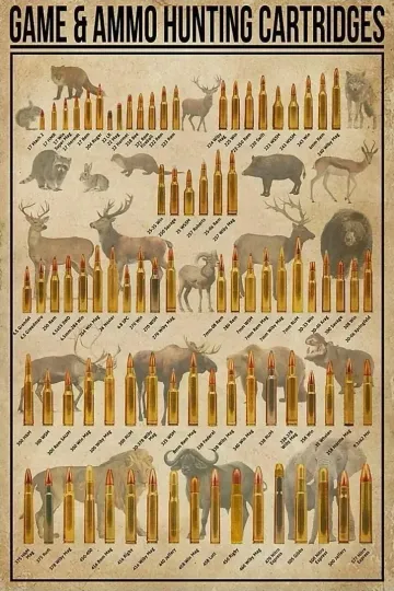 Discover Hunting Cartridges Ammo Types Chart Knowledge Wall Art Decor Poster