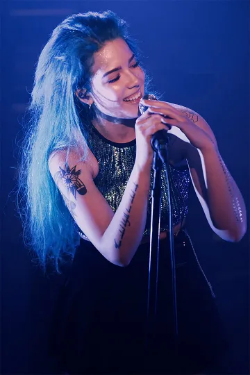 Discover Halsey Celebrity Poster, Fan Gift, Wall Decor