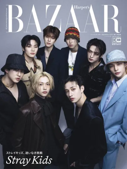 Discover Stray Kids Cover special edition Poster