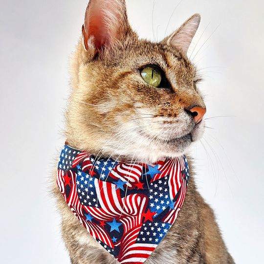 Discover Cat Bandana - "Stars & Stripes" - Patriotic Bandana for Cat + Small Dog, Independence Day