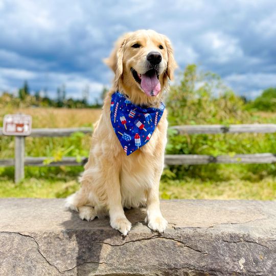 Discover Over The Collar Fourth of July Dog Bandana, Patriotic Dog Bandana