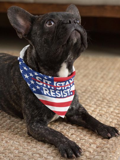 Discover Feminist Dog Bandana, Anti-Trump Dog Bandana, Independence Day Gift