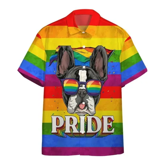 Discover Ally Pride 3d Shirt Awesome Background Design Hawaiian Shirt Hawaiian Pride Full