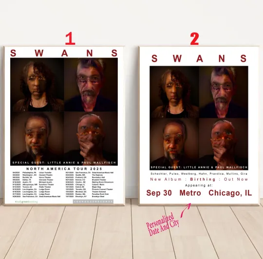 Discover Custom Swans North American Tour 2025 Poster