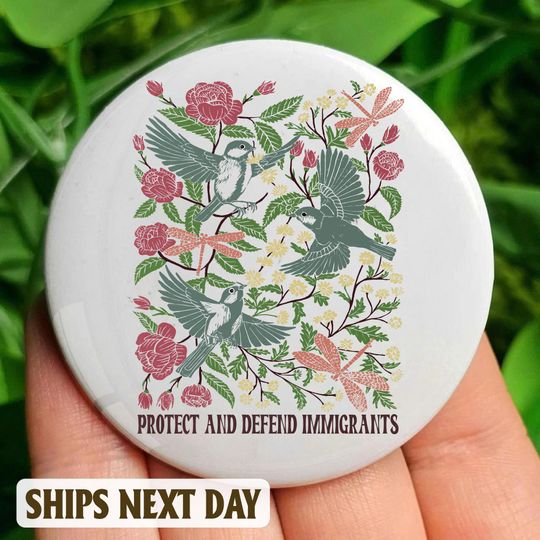 Discover Protect and Defend Immigrants Pin Button, Resist Pin Button