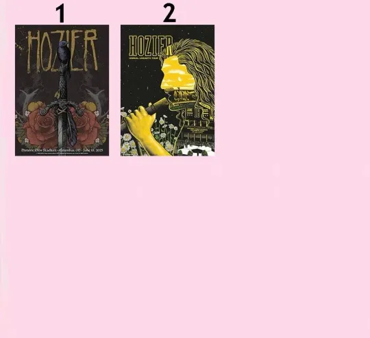 Discover Hozier On June 18 2025 In Columbus OH Tour Poster