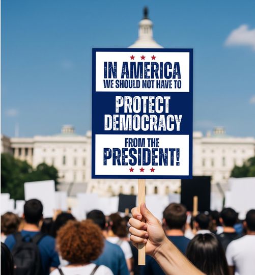 Discover Protect Democracy Protest Sign