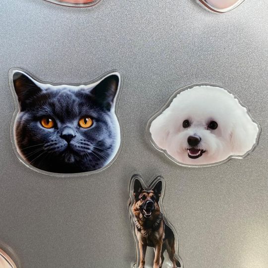 Discover Custom Pet Memorial Fridge Magnet, Turn Your Dog Cat Photos Into Fridge Magnets