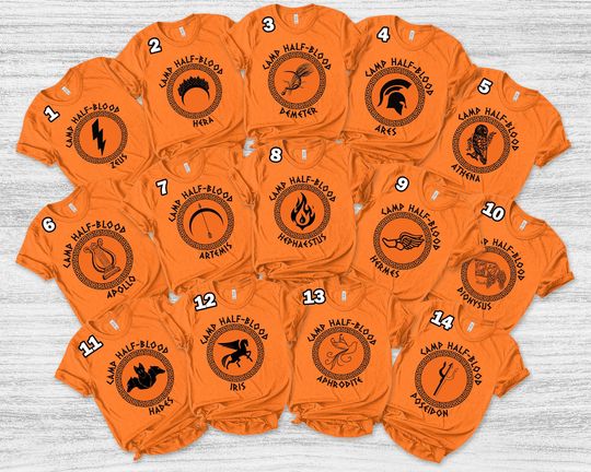 Discover Camp Half Blood Shirt, Percy Jackson Shirt, Camp Half Blood 13 Cabins, Book Lover Shirt