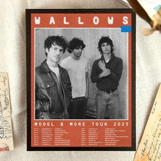 Discover Wallows Model & More Tour 2025 Poster
