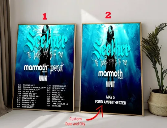 Discover Seether The Surface Seems So Far Tour 2025 Poster