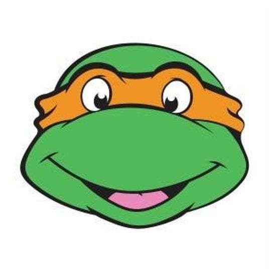 Discover ninja turtle rug