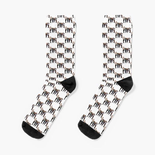 Discover Big Time Rush Socks