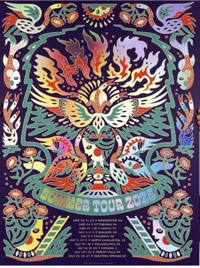 Discover Phish FOIL Poster Summer Tour 2025 Josh Noom /400 Flaming Bird Heads