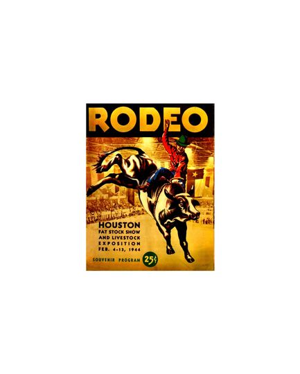 Discover Houston Rodeo Poster, Old West Cowboys Broncs Roping Bull Steer Wrestling Western