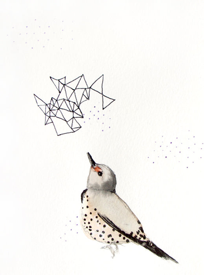 Discover Northern Flicker Canvas